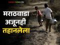 मोजक्या ठिकाणी बरसला; बाकी भाग कोरडाच  - Marathi News | It rained in few places; The rest is dry  | Latest agriculture News at Lokmat.com