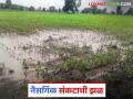 Awakali Paus : पाऊस की आपत्ती? मे महिन्यात मराठवाड्यात मुसळधार अवकाळी वाचा सविस्तर - Marathi News | latest news Awakali Paus: Rain or disaster? Heavy rains in Marathwada in May Read in detail | Latest agriculture News at Lokmat.com
