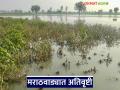 Marathwada Rain Update : गणेशोत्सवात पावसाचा जोर; मराठवाड्यात मुसळधार सरी वाचा सविस्तर - Marathi News | latest news Marathwada Rain Update: Heavy rain during Ganeshotsav; Heavy showers in Marathwada Read in detail | Latest agriculture News at Lokmat.com