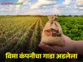 Crop Insurance पेरणीची वेळ आली तरी ७५ टक्के विमा रकमेची प्रतीक्षाच - Marathi News | Crop Insurance Even if it is time to sow, wait for 75 percent insurance amount | Latest agriculture News at Lokmat.com