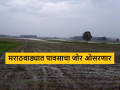 Maharashtra Rain Update : मराठवाड्यात पावसाचा जोर कमी होणार, उर्वरित महाराष्ट्रात पाऊस कसा असेल?  - Marathi News | Latest News Maharashtra rain Update Rain will reduce in Marathwada and what other maharashtra see details | Latest agriculture News at Lokmat.com