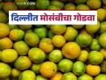 थंडीची लाट ओसरताच मोसंबीला मागणी वाढली; दिल्लीत मराठवाड्याच्या मोसंबीचा गोडवा - Marathi News | Demand for mosambi increased as the cold wave subsided; Marathwada mosambi's sweetness in Delhi | Latest agriculture News at Lokmat.com