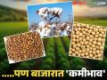 Market yard : शासनाचा शेतमालाला 'हमीभाव'; पण बाजारात 'कमीभाव' वाचा सविस्तर - Marathi News | Market yard: Government's 'guaranteed price' for agricultural products; but 'low price' in the market Read in detail | Latest agriculture News at Lokmat.com
