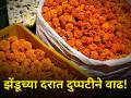 झेंडूने दसऱ्याला रडवले; मात्र दिवाळीत शेतकरी सुखावले - Marathi News | Marigold market yard rates till 80 per kg diwali festival farmer production Shewanti 700 per kg | Latest agriculture News at Lokmat.com
