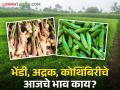 Market Updated : भेंडी, कोथिंबीर, अद्रक यांचे आजचे भाव काय ? - Marathi News | Market Updated: What is the price of Okra, Coriander, Ginger today? | Latest agriculture News at Lokmat.com