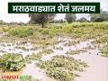 Marathwada Crop Damage : मराठवाड्यात सलग दुसऱ्या दिवशी मुसळधार पाऊस; शेतं जलमय वाचा सविस्तर - Marathi News | latest news Marathwada Crop Damage: Heavy rains for the second consecutive day in Marathwada; Fields flooded Read in detail | Latest agriculture News at Lokmat.com