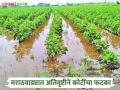 Marathwada Crop Damage : मराठवाड्यात तीन महिन्यांत अतिवृष्टीने १,४१८ कोटींचे नुकसान; पंचनामे कधी? वाचा सविस्तर - Marathi News | latest news Marathwada Crop Damage: Heavy rains in Marathwada in three months cause loss of Rs 1,418 crore; When will the Panchnama be done? Read in detail | Latest agriculture News at Lokmat.com