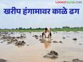 Crop Damage in Marathwada : मराठवाड्यात ४ लाख हेक्टर पिकांचे नुकसान; महसूलमंत्री उद्या घेणार आढावा? वाचा सविस्तर - Marathi News | latest news Crop Damage in Marathwada: 4 lakh hectares of crops damaged in Marathwada; Revenue Minister to take review tomorrow | Latest agriculture News at Lokmat.com