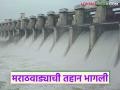 Marathwada Dam Water Level : पावसाची कृपा! जायकवाडी धरण किती भरले वाचा सविस्तर - Marathi News | latest news Marathwada Dam Water Level: Rain's grace! Read in detail how full Jayakwadi Dam is | Latest agriculture News at Lokmat.com