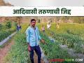 चार हजार फुटांवरून पाणी आणून दुष्काळी गावात फुलवली मिरचीची शेती - Marathi News | Bringing water from 4000 feet, the cultivation of chilli flourished in a drought stricken village | Latest agriculture News at Lokmat.com