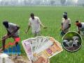 Business Idea Tips: शेतीसाठी सोडली बँकेतील गलेलठ्ठ पगाराची नोकरी! व्यवसाय उभारला; आता करतोय लाखोंची कमाई - Marathi News | business idea tips man in uttarakhand left job of bank and now earns 38 lakhs per year starting mushroom farming | Latest business Photos at Lokmat.com