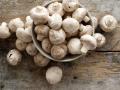 मशरूम खाण्याचे 'हे' फायदे तुम्हाला माहीत आहेत का? - Marathi News | Do you know the health benefits of mushrooms | Latest health News at Lokmat.com