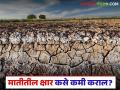 जमिनीत क्षार नक्की कशामुळे वाढतात? क्षाराचे प्रमाण कमी करण्यासाठी काय उपाय करावेत? - Marathi News | What exactly causes salts to increase in the soil? What measures can be taken to reduce the amount of salts? | Latest agriculture News at Lokmat.com