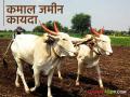 कमाल शेतजमीन धारणा कायद्यात लवकरच बदल? - Marathi News | Changes in maximum farm land retention law soon? | Latest agriculture News at Lokmat.com