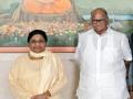 विरोधी आघाडीबाबत मायावती समंजस- शरद पवार - Marathi News | Mayawati's understanding about anti-NCP-Sharad Pawar | Latest national News at Lokmat.com