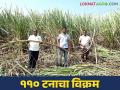 Young Farmer Success Story : एमबीए उच्च शिक्षित शुभमने ऊस शेतीत गाठला ११० टनाचा टप्पा वाचा सविस्तर - Marathi News | Young Farmer Success Story : MBA highly educated Shubham reaches 110 ton production in sugarcane farming Read more | Latest agriculture News at Lokmat.com