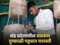 Mushroom Farming : एमबीबीएस डॉक्टर तरूणाचा जबरदस्त प्रयोग, झोपडीत फुलवली मशरूमची शेती - Marathi News | Latest News mushroom farming in hut by young mbbs doctor experiment in village | Latest agriculture News at Lokmat.com