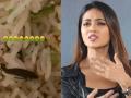 SHOCKING ! अभिनेत्री निवेथाने ऑनलाईन ऑर्डर केलं जेवण, भातात सापडलं झुरळ - Marathi News | Nivetha Pethuraj finds cockroach in food, Swiggy takes Chennai restaurant off app | Latest filmy News at Lokmat.com