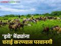 आता मेंढपाळांना 'या' क्षेत्रावरही मेंढ्यांना चराई करण्यास परवानगी, वाचा सविस्तर  - Marathi News | Latest News Now shepherds are allowed to graze sheep in forest area too, read in detail | Latest agriculture News at Lokmat.com