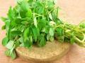 मेथीचे 'हे' आरोग्यदायी फायदे तुम्हाला माहीत आहेत का? - Marathi News | 9 reasons why you should add methi to your diet | Latest health News at Lokmat.com