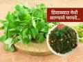 हिवाळ्यात हिरवीगार मेथी खाण्याचे ६ फायदे, चवीला कडसर पण तब्येतीसाठी वरदान ठरते मेथी - Marathi News | Eat green fenugreek every day during winters, read the list of benefits and eat it every day | Latest sakhi News at Lokmat.com