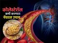 कोलेस्टेरॉल कमी करायचं असेल तर नेहमी खा 'या' पिवळ्या बिया, हृदयरोग आणि डायबिटीसचा धोका कमी - Marathi News | How fenugreek seeds beneficial for lowering high cholesterol | Latest sakhi News at Lokmat.com