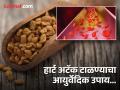 कोलेस्ट्रॉल कमी करून हार्ट अटॅकचा धोका टाळण्यासाठी 'या' बियांचं करा सेवन, जाणून घ्या पद्धत... - Marathi News | Nutritionist tells how to use fenugreek seeds to reduce bad cholesterol and prevent heart attack | Latest health News at Lokmat.com