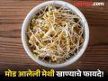 केवळ मूगच नाही तर मोड आलेल्या मेथीनेही मिळतात जबरदस्त फायदे, वाचाल तर रोज खाल! - Marathi News | Amazing health benefits of eating Methi sprouts | Latest health News at Lokmat.com