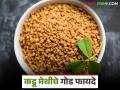 चवीला कडू पण आरोग्याला गोड, मेथीच्या दाण्यांचे 'हे' असंख्य फायदे; जाणून घ्या सविस्तर - Marathi News | Bitter in taste but sweet to health, these are the numerous benefits of fenugreek seeds; Know in detail | Latest agriculture News at Lokmat.com