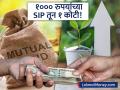 फक्त १,००० रुपयांच्या SIP ने व्हा करोडपती! 'या' म्युच्युअल फंडांनी दिलाय १ ते २ कोटींचा परतावा! - Marathi News | SIP Success Stories How These Funds Made Investors Crorepati with Just 1,000/Month | Latest business News at Lokmat.com