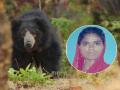 अस्वलाने केली महिला शेतकऱ्याची शिकार, मुसळखेडा शिवारातील घटना - Marathi News | Female farmer dies in bear attack in Musalkheda shivara of amravati dist | Latest amravati News at Lokmat.com