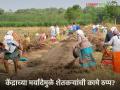 MGNREGA Scheme : केंद्राच्या मर्यादेमुळे शेतकऱ्यांची कामे ठप्प; सिंचन विहिरी, वृक्षलागवड रखडणार! - Marathi News | latest news MGNREGA Scheme: Farmers' work comes to a standstill due to the Centre's restrictions; Irrigation wells, tree plantation will be delayed! | Latest agriculture News at Lokmat.com