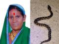 Kolhapur: म्हाकवेतील महिलेचा सर्पदंशाने मृत्यू - Marathi News | Woman dies of snakebite in Mhakwe Kolhapur | Latest kolhapur News at Lokmat.com