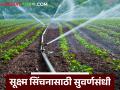 Micro Irrigation : सूक्ष्म सिंचनासाठी सुवर्णसंधी! शेतकऱ्यांना मिळणार थेट खात्यात अनुदान वाचा सविस्तर - Marathi News | latest news Micro Irrigation : Golden opportunity for micro irrigation! Farmers will get direct subsidy in their accounts Read in detail | Latest agriculture News at Lokmat.com