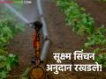 Micro Irrigation Subsidy : सूक्ष्म सिंचन योजनेला ब्रेक; अनुदान कुठे अडकलं? वाचा सविस्तर - Marathi News | latest news Micro Irrigation Subsidy: Break in micro irrigation scheme; Where is the subsidy stuck? Read in detail | Latest agriculture News at Lokmat.com