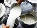 सरकारी निकषात गाय दुधाचे अनुदान अडकण्याची शक्यता, उत्पादक वंचित राहणार - Marathi News | Chances of cow milk subsidy getting stuck in government criteria | Latest kolhapur News at Lokmat.com