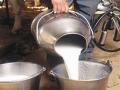 मावळ तालुक्यात महिलांची डेअरी लिटरला देते ७० रुपये दर - Marathi News | A women's dairy gives 70 rupees for one liter milk In Maval taluka | Latest maharashtra News at Lokmat.com