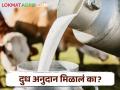Milk Subsidy राज्यातील तीन लाख दूध उत्पादकांची माहिती अपडेट; शेतकऱ्यांच्या खात्यावर अनुदान - Marathi News | Information update of three lakh milk producers in the state; Subsidy on account of farmers | Latest agriculture News at Lokmat.com
