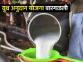 दुध अनुदान योजना; नगरमध्ये दुध अनुदानाचे घोडं नेमकं कुठे अडलं - Marathi News | Milk subsidy scheme failed in Ahmednagar district due to milk unions can not initiative for subsidy | Latest agriculture News at Lokmat.com