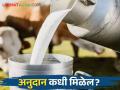 Dudh Anudan : दूध उत्पादकांचे अनुदान रखडले ९० टक्के शेतकऱ्यांना प्रतीक्षा - Marathi News | Dudh Anudan: Subsidy of milk producers stopped, 90 percent farmers in waiting | Latest agriculture News at Lokmat.com