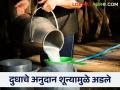 एका शून्याने अडविले राज्यभरातील हजारो शेतकऱ्यांचे दुधाचे अनुदान - Marathi News | A single zero blocked the milk subsidy of thousands of farmers across the state | Latest agriculture News at Lokmat.com