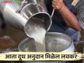 Dudh Anudan: दूध अनुदान लवकर मिळणार, माहिती संकलनासाठी केले हे मोठे बदल - Marathi News | Dudh Anudan: milk subsidy will be available soon, major changes made for data collection | Latest agriculture News at Lokmat.com