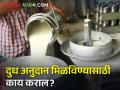 शेतकऱ्यांनो हे कराल, तरच मिळेल दुध अनुदान - Marathi News | Milk subsidy will be available only if the farmers do this | Latest agriculture News at Lokmat.com
