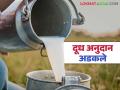 Dudh Anudan : दूध उत्पादकांचे ४९ कोटी अनुदान अडकले; शेतकऱ्यांच्या हातात पैसे कधी पडणार? - Marathi News | Dudh Anudan : 49 crore subsidy for milk producers stuck; When will the money reach the hands of farmers? | Latest agriculture News at Lokmat.com