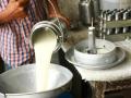 भेसळयुक्त दुध खरेदीदार संस्थांवरही कारवाई - Marathi News | Action will also be taken against adulterated milk buying organizations | Latest agriculture News at Lokmat.com