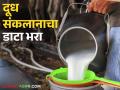 Dudh Anudan : परराज्यात विक्री होणाऱ्या दुधालाही मिळतंय अनुदान - Marathi News | Dudh Anudan: Milk sold abroad is also getting subsidy | Latest agriculture News at Lokmat.com
