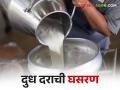 मार्च एंड.. वर्षात दुधाच्या दरात किती वेळा किती रुपयांची घसरण - Marathi News | March end.. How many times in a year the price of milk falls by how much Rs | Latest agriculture News at Lokmat.com