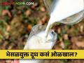 कधी युरिया तर कधी ऑक्सोटोसीनचे इंजेक्शन, भेसळयुक्त दुधाची विक्री - Marathi News | Adulteration in milk increased, how to recognize adulterated milk! | Latest agriculture News at Lokmat.com