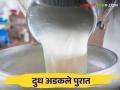 Kolhapur Floods: कोल्हापूरात पुराच्या पाण्याने अनेक गावांना वेढा पंधरा हजार लिटर दूध घरातच, बल्क कुलरही फुल्ल - Marathi News | In Kolhapur, flood water surrounded many villages, fifteen thousand liters of milk in houses, bulk coolers were also full | Latest agriculture News at Lokmat.com