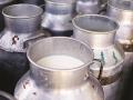 ‘पिशवीबंदी’मुळे दूध १३ रुपयांनी महागणार? - Marathi News | Due to 'baggage' the milk will cost by 13 rupees? | Latest maharashtra News at Lokmat.com